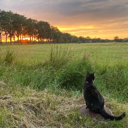 Kindvriendelijk Appartement De Hooge Stukken Onder De Rook Van Groningen Eelde-Paterswolde 외부 사진